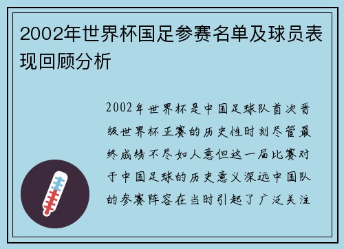 2002年世界杯国足参赛名单及球员表现回顾分析